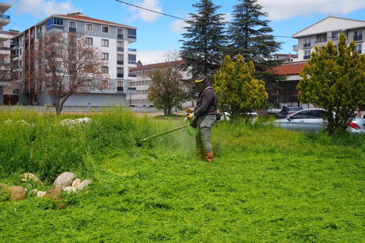 Bolvadin’de yabani ot temizliği aralıksız sürüyor