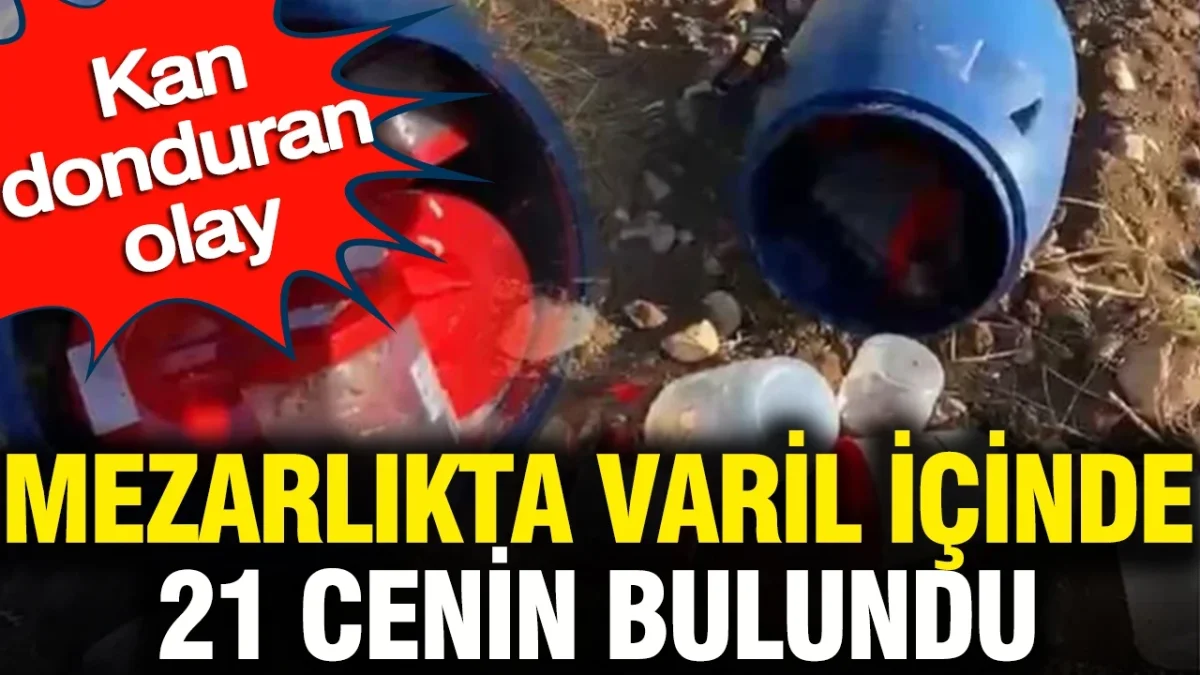 Mezarlıkta varil içinde 21 cenin bulundu: Kan donduran olay